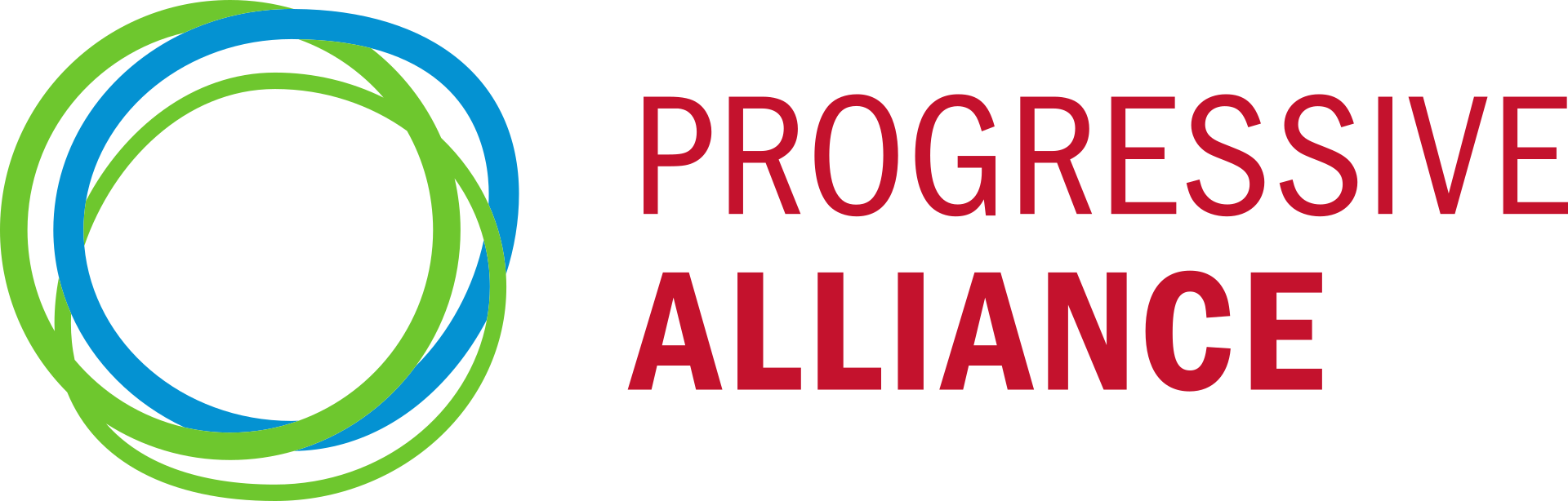 Progressive Alliance: Declaration of solidarity with HDP